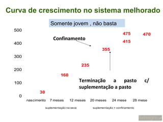 Curva de crescimento no sistema melhorado
                      Somente jovem , não basta
  500
                                                                      475        470
                        Confinamento
  400                                                                 415
                                                        355
  300

                                           235
  200
                             160
  100                                      Terminação a pasto                     c/
                                           suplementação a pasto
              30
    0
        nascimento    7 meses      12 meses      20 meses      24 mese       28 mese

                   suplementação na seca          suplementação + confinamento
 