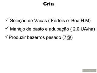 Cria


 Seleção de Vacas ( Férteis e Boa H.M)
 Manejo de pasto e adubação ( 2,0 UA/ha)
Produzir bezerros pesado (7@)
 