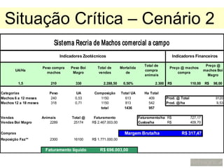Situação Crítica – Cenário 2
                             Sistema Recria de Machos comercial a campo
                                  Indicadores Zootécnicos                                           Indicadores Financeiros
                                  Indicadores Zootécnicos                                           Indicadores Financeiros
                                                                                   Total de                            Preço @
                       Peso compra     Peso Boi      Total de       Mortalida                    Preço @ machos
       UA/Ha                                                                       compra                             machos Boi
                         machos         Magro         vendas           de          Total de          compra            Preço @
                       Peso compra     Peso Boi      Total de    Mortalida         animais       Preço @ machos         Magro
       UA/Ha                                                                       compra                         machos Boi
          1,5            machos
                           210          Magro
                                         330          vendas
                                                        2.288,50    de
                                                                  0,50%                 2.300   R$   compra110,00 R$ 98,00
                                                                                   animais                          Magro
Categorias                Peso            UA       Composição       Total UA       Ha Total
         3,0
Machos 6 a 12 meses        210
                           240           420
                                         0,53           6.965,00
                                                      1150           0,50%
                                                                      613            409 7.000 Prod. @ Total 110,00
                                                                                                R$                    R$ 98,00
                                                                                                                          9120
Machos 12 a 18 meses       318           0,71         1150            813            542       Prod. @/ha                   9,53
                                                      total           1436           957
Categorias                 Peso            UA      Composição Total UA     Ha Total
Vendas 6 a 12 meses
Machos                      263
                       Animais            0,58
                                        Total @        3500
                                                   Faturamento    2042 Faturamento/ha Prod. @ Total 727,17
                                                                             681      R$                                   48650
Vendas Boi Magro           2289          25174    R$ 2.467.003,00      Custos/ha      R$            409,70
Machos 12 a 18 meses        341           0,76         3500       2648       883      Prod. @/ha                           30,92
Compras                                                total      4720      1573
                                                                  Margem Bruta/ha             R$ 317,47
Reposição Faz**            2300          16100    R$ 1.771.000,00

Vendas                 Animais       Total @       Faturamento                  Faturamento/ha R$          2.648,12
                         Faturamento líquido           R$ 696.003,00
Vendas Boi Magro           6965       97510       R$ 9.555.980,00               Custos/ha      R$          1.329,75
 