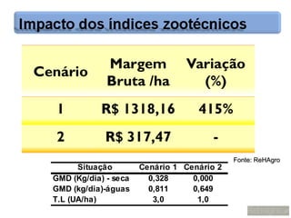 Fonte: ReHAgro
      Situação        Cenário 1 Cenário 2
GMD (Kg/dia) - seca     0,328     0,000
GMD (kg/dia)-águas      0,811     0,649
T.L (UA/ha)              3,0       1,0
 