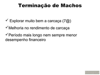 Terminação de Machos

 Explorar muito bem a carcaça (7@)
Melhoria no rendimento de carcaça
Período mais longo nem sempre menor
desempenho financeiro
 