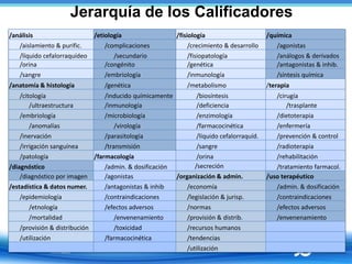 Jerarquía de los Calificadores
/análisis /etiología /fisiología /química
/aislamiento & purific. /complicaciones /crecimie...