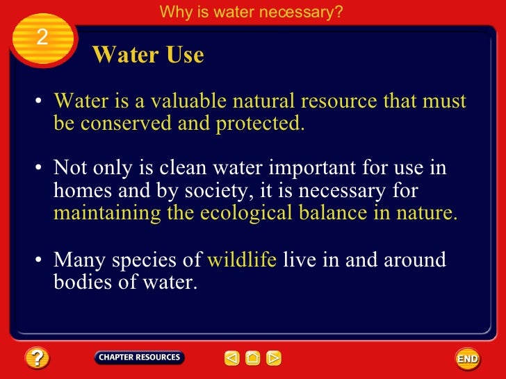 Why Clean Water Is Important For Nature And Society Why Clean Water Is Important For Nature And Society