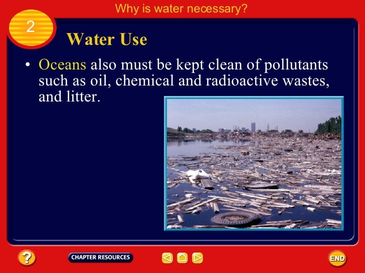 Why Clean Water Is Important For Nature And Society Why Clean Water Is Important For Nature And Society