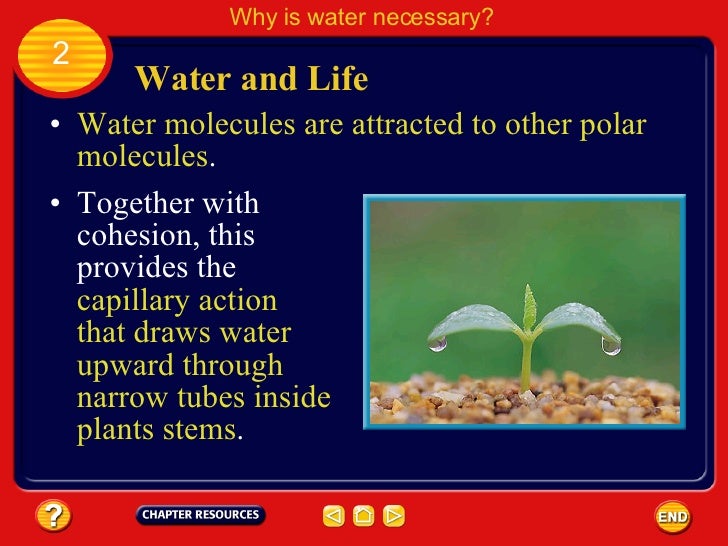 Chapter 5 S2 Why is water necessary?