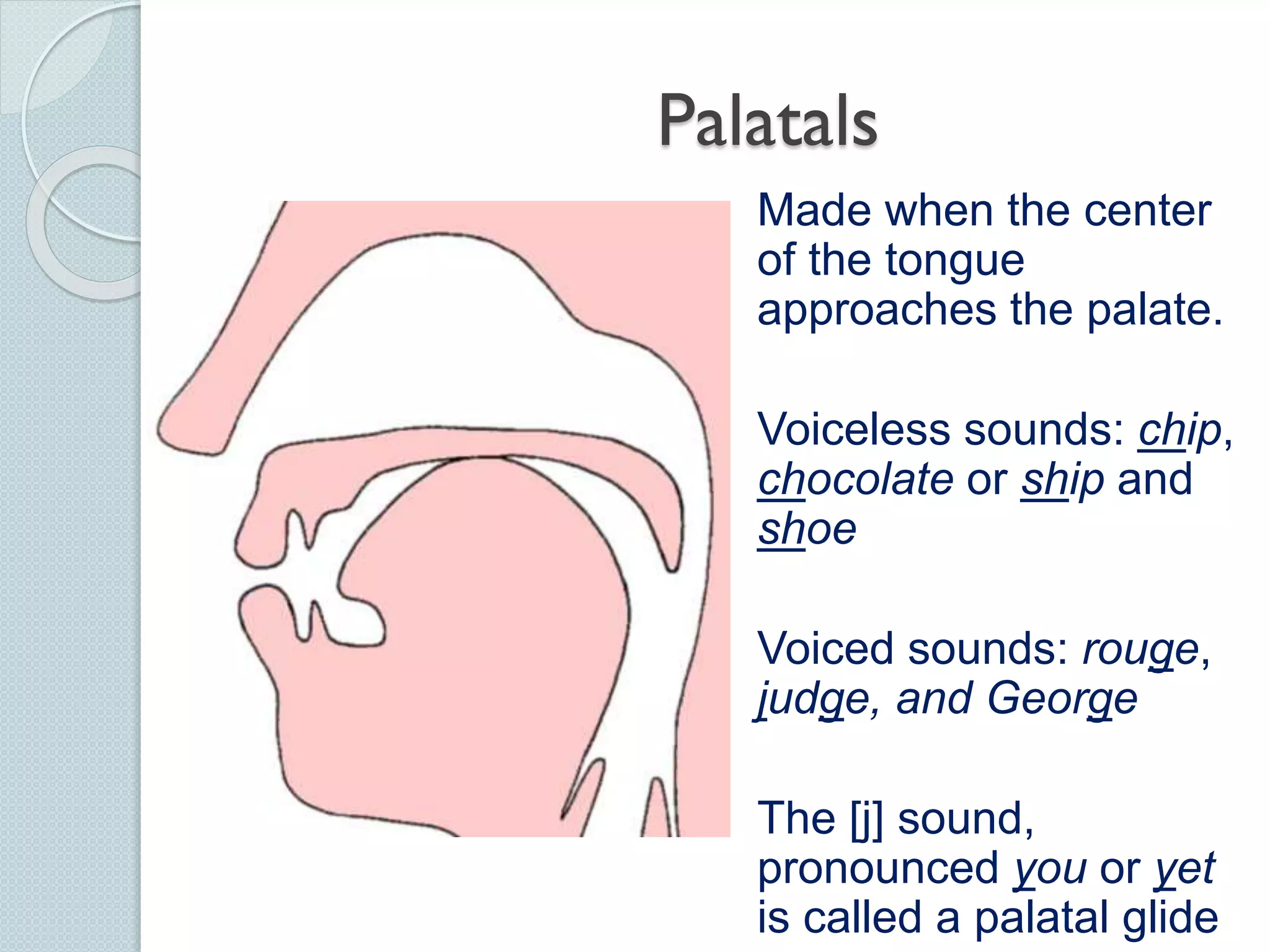 Palatal Letters Phonetics: The Sounds of Language | PPTX