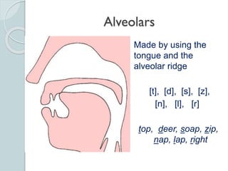 Phonetics: The Sounds of Language | PPTX