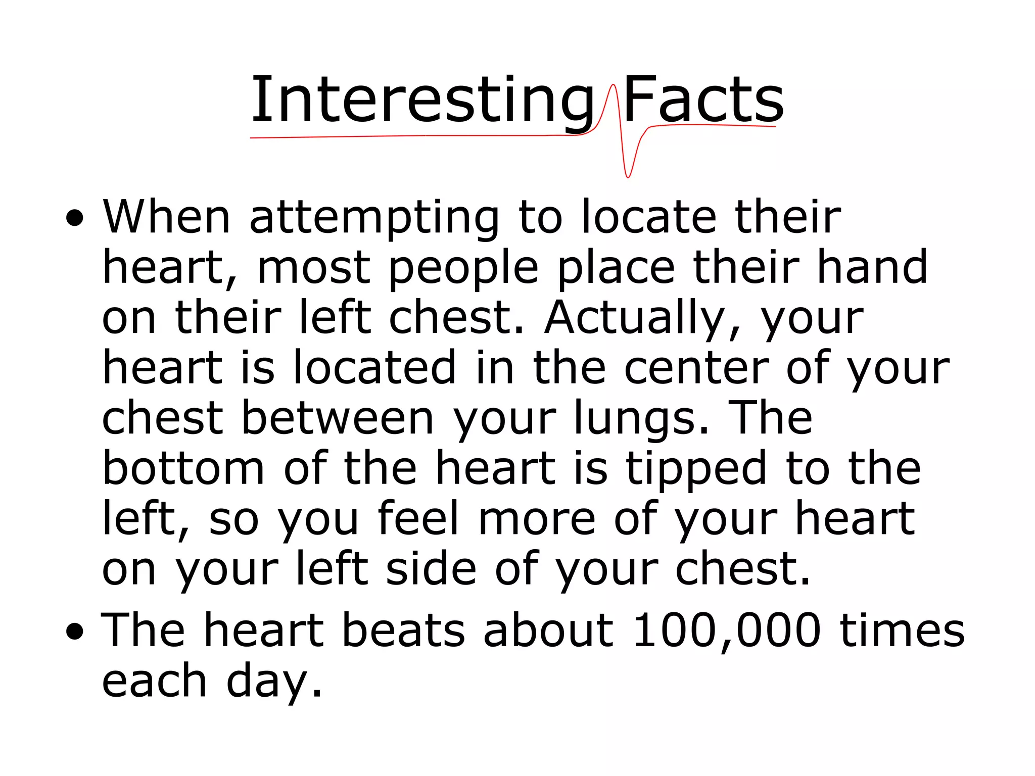 Interesting Facts When attempting to locate their heart, most people place their hand on their left chest. Actually, your heart is located in the center of your chest between your lungs. The bottom of the heart is tipped to the left, so you feel more of your heart on your left side of your chest.  The heart beats about 100,000 times each day.  