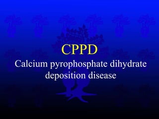 CPPD   Calcium pyrophosphate dihydrate  deposition disease 