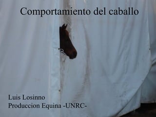 Comportamiento del caballo
Luis Losinno
Produccion Equina -UNRC-
 