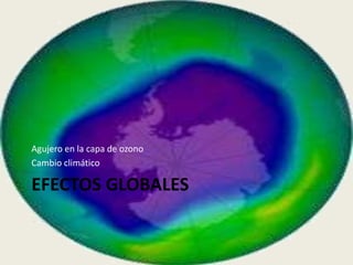 Agujero en la capa de ozono
Cambio climático

EFECTOS GLOBALES
 
