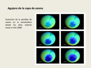 Agujero de la capa de ozono


Evolución de la pérdida de
ozono en la estratosfera
desde los años setenta
hasta el año 2000
 