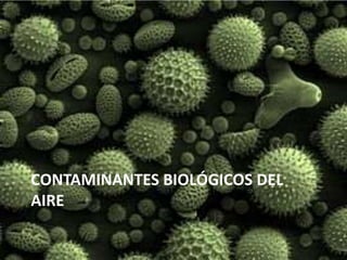 CONTAMINANTES BIOLÓGICOS DEL
AIRE
 