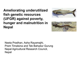 Ameliorating underutilized
fish genetic resources
(UFGR) against poverty,
hunger and malnutrition in
Nepal
Neeta Pradhan, Asha Rayamajhi,
Prem Timalsina and Tek Bahadur Gurung
Nepal Agricultural Research Council,
Nepal
 