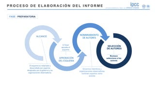 ALCANCE
El Panel
aprueba el
esquema
Governos miembros y
organizaciones observadoras
nominan expertos como
autores
Bureaux
...
