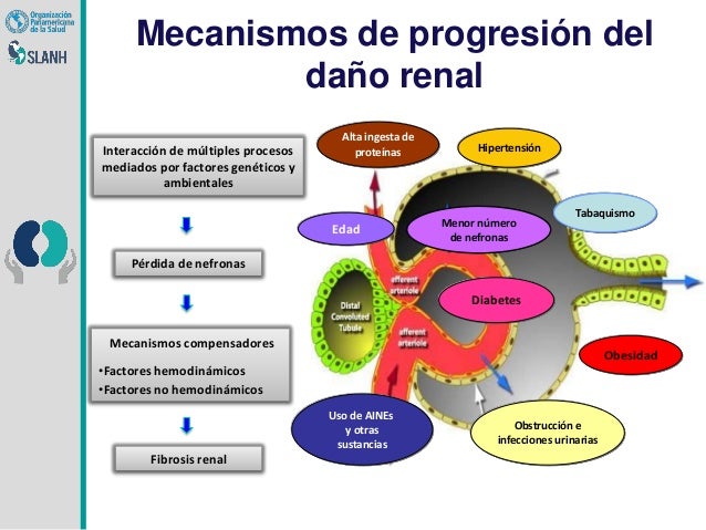 Conductas de Riesgo para el Manejo y Progresion de la Conductas de Riesgo para el Manejo y Progresion de la