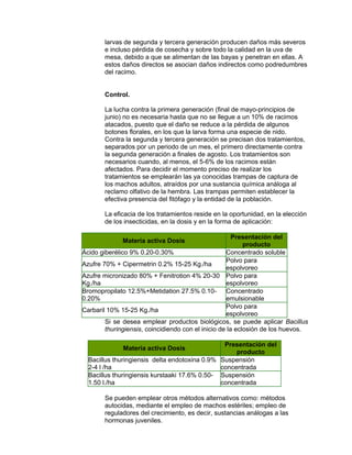 larvas de segunda y tercera generación producen daños más severos
e incluso pérdida de cosecha y sobre todo la calidad en la uva de
mesa, debido a que se alimentan de las bayas y penetran en ellas. A
estos daños directos se asocian daños indirectos como podredumbres
del racimo.
Control.
La lucha contra la primera generación (final de mayo-principios de
junio) no es necesaria hasta que no se llegue a un 10% de racimos
atacados, puesto que el daño se reduce a la pérdida de algunos
botones florales, en los que la larva forma una especie de nido.
Contra la segunda y tercera generación se precisan dos tratamientos,
separados por un periodo de un mes, el primero directamente contra
la segunda generación a finales de agosto. Los tratamientos son
necesarios cuando, al menos, el 5-6% de los racimos están
afectados. Para decidir el momento preciso de realizar los
tratamientos se emplearán las ya conocidas trampas de captura de
los machos adultos, atraídos por una sustancia química análoga al
reclamo olfativo de la hembra. Las trampas permiten establecer la
efectiva presencia del fitófago y la entidad de la población.
La eficacia de los tratamientos reside en la oportunidad, en la elección
de los insecticidas, en la dosis y en la forma de aplicación:
Materia activa Dosis
Presentación del
producto
Ácido giberélico 9% 0.20-0.30% Concentrado soluble
Azufre 70% + Cipermetrin 0.2% 15-25 Kg./ha
Polvo para
espolvoreo
Azufre micronizado 80% + Fenitrotion 4% 20-30
Kg./ha
Polvo para
espolvoreo
Bromopropilato 12.5%+Metidation 27.5% 0.10-
0.20%
Concentrado
emulsionable
Carbaril 10% 15-25 Kg./ha
Polvo para
espolvoreo
Si se desea emplear productos biológicos, se puede aplicar Bacillus
thuringiensis, coincidiendo con el inicio de la eclosión de los huevos.
Materia activa Dosis
Presentación del
producto
Bacillus thuringiensis delta endotoxina 0.9%
2-4 l /ha
Suspensión
concentrada
Bacillus thuringiensis kurstaaki 17.6% 0.50-
1.50 l./ha
Suspensión
concentrada
Se pueden emplear otros métodos alternativos como: métodos
autocidas, mediante el empleo de machos estériles; empleo de
reguladores del crecimiento, es decir, sustancias análogas a las
hormonas juveniles.
 