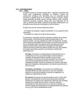 14.2. ENFERMEDADES
14.2.1 OIDIO
El agente causal es Uncinula necator Burr., originario de América del
Norte, pero ampliamente extendido en España. Cuando las
condiciones climáticas son favorables para su desarrollo puede
provocar la pérdida total de la cosecha. Según la región vitícola,
recibe diferentes nombres: ceniza, cenicilla, polvillo, polvo, cenillera,
cendrada, sendrosa, sendreta, malura vella, roya, blanqueta, etc. El
oídio, a diferencia del mildeu, necesita de elevadas temperaturas, una
atmósfera seca exenta de humedades y noches frescas.
El oídio en la viña se conserva bajo dos formas:
- En estado de peritecas, órganos resistentes, en la superficie de los
sarmientos.
- En estado de micelio en el interior de las yemas.
En primavera, el parásito invade los pámpanos salidos de las yemas
contaminadas. Los filamentos de micelio se desarrollan en los
órganos verdes, a los que parásita por medio de haustorios. Cuando
las condiciones ambientales son favorables, el micelio emite conidias,
que se extienden sobre los órganos sanos situados cerca de los
órganos contaminados y germinan y propagan la enfermedad.
Este hongo ataca a todos los órganos verdes de la vid, pero prefiere
los brotes, sarmientos y racimos. Los síntomas y daños más
destacados son:
En hojas. Se observa un polvillo blanco ceniciento tanto en el
envés como en el haz, que puede llegar a cubrir la hoja por
completo. Debajo del polvillo se aprecian unos puntitos
necrosados. A veces los comienzos del ataque se manifiestan
como manchas pequeñas de aceite en el haz, junto a unas
punteaduras pardas. Cuando los ataques son intensos, las hojas
aparecen crispadas o abarquilladas y recubiertas de polvillo por el
haz y el envés.
En brotes y sarmientos. Los síntomas se manifiestan por
manchas difusas de color verde oscuro, que van creciendo,
pasando a tonos achocolatados al avanzar la vegetación y a
negruzcos al lignificarse el brote.
En racimos. Al principio los granos aparecen con un cierto color
plomizo, recubriéndose en poco tiempo del polvillo ceniciento,
formado por los órganos de multiplicación del hongo (las conidias),
debajo de los cuales se encuentran, a menudo, retículos
necrosados de color pardo-oscuros. En esta zona dañada, se
forman rasgaduras producidas por el engrosamiento de los granos
de uva y por la poca elasticidad de la piel.
 