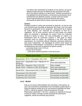 Los daños más importantes se localizan en los racimos, ya que los
ataques fuertes provocan la detención del crecimiento de la piel,
por lo que ésta se agrieta y se raja el fruto. También se produce un
mal agostado de los sarmientos y se favorece la penetración de la
podredumbre gris (Botrytis cinerea). Cuando Uncinula necator
causa mayores daños es durante la floración del racimo,
provocando el aborto floral y siendo causa del corrimiento.
Control.
Emplear la poda en verde para aumentar la aireación, ya que se crea
una ambiente poco favorable al desarrollo del hongo y por otra parte
favorece la penetración de los fungicidas. -Destrucción de la madera
de poda afectada, con manchas en sarmientos al final de la
vegetación. -En la lucha química contra el oídio existe una amplia
gama de productos y estrategias de control. Entre los productos
destaca el azufre en polvo, con unas limitaciones en cuanto a la
temperatura tanto en primavera superior a 18ºC para su eficaz
actuación como en verano, no superiores a los 35ºC para evitar
quemaduras. Es importante alternar diferentes productos sistémicos
para evitar resistencias. Las estrategias de control varían según las
condiciones meteorológicas, aumentando o disminuyendo el número
de tratamientos, pero que en general se aplican cuando:
- Los brotes tienen unos 10-15 cm.
- Al inicio de la floración
- Entre grano tamaño guisante e inicio del envero.
Materia activa Dosis Presentación del producto
Azoxystrobin 18.7% + Cimoxanilo 12% 0.10%
Granulado dispersable en
agua
Azufre 70% + Cipermetrin 0.2% + Maneb 4% 15-
25 Kg./ha
Polvo para espolvoreo
Azufre 75% + Fenarimol 1.8% 0.10-0.15% Polvo mojable
Azufre 76.5% + Pirifenox 0.125% 20-30 Kg./ha Polvo para espolvoreo
Azufre 80% + Ciproconazol 0.8% 0.10-0.20%
Granulado dispersable en
agua
Tetraconazol 10% 0.03-0.05% Concentrado emulsionable
Triadimefon 25% 0.02-0.03% Concentrado emulsionable
Triadimenol 25% 0.03-0.05% Concentrado emulsionable
14.2.2 MILDIU
Esta es una de las enfermedades más conocidas y más graves, ya
que si las condiciones ambientales le son favorables, puede atacar a
todos los órganos verdes de la vid, provocando la pérdidas de hasta
el 50% o más de la cosecha. Está provocada por el hongo
Plasmopara viticola Berl. Y de Toni. y aparece en regiones en las que
el clima es cálido y húmedo durante el periodo de crecimiento
vegetativo, siendo los síntomas que produce:
 