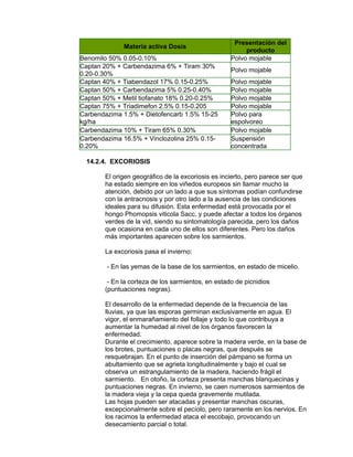 Materia activa Dosis
Presentación del
producto
Benomilo 50% 0.05-0.10% Polvo mojable
Captan 20% + Carbendazima 6% + Tiram 30%
0.20-0.30%
Polvo mojable
Captan 40% + Tiabendazol 17% 0.15-0.25% Polvo mojable
Captan 50% + Carbendazima 5% 0.25-0.40% Polvo mojable
Captan 50% + Metil tiofanato 18% 0.20-0.25% Polvo mojable
Captan 75% + Triadimefon 2.5% 0.15-0.205 Polvo mojable
Carbendazima 1.5% + Dietofencarb 1.5% 15-25
kg/ha
Polvo para
espolvoreo
Carbendazima 10% + Tiram 65% 0.30% Polvo mojable
Carbendazima 16.5% + Vinclozolina 25% 0.15-
0.20%
Suspensión
concentrada
14.2.4. EXCORIOSIS
El origen geográfico de la excoriosis es incierto, pero parece ser que
ha estado siempre en los viñedos europeos sin llamar mucho la
atención, debido por un lado a que sus síntomas podían confundirse
con la antracnosis y por otro lado a la ausencia de las condiciones
ideales para su difusión. Esta enfermedad está provocada por el
hongo Phomopsis viticola Sacc, y puede afectar a todos los órganos
verdes de la vid, siendo su sintomatología parecida, pero los daños
que ocasiona en cada uno de ellos son diferentes. Pero los daños
más importantes aparecen sobre los sarmientos.
La excoriosis pasa el invierno:
- En las yemas de la base de los sarmientos, en estado de micelio.
- En la corteza de los sarmientos, en estado de picnidios
(puntuaciones negras).
El desarrollo de la enfermedad depende de la frecuencia de las
lluvias, ya que las esporas germinan exclusivamente en agua. El
vigor, el enmarañamiento del follaje y todo lo que contribuya a
aumentar la humedad al nivel de los órganos favorecen la
enfermedad.
Durante el crecimiento, aparece sobre la madera verde, en la base de
los brotes, puntuaciones o placas negras, que después se
resquebrajan. En el punto de inserción del pámpano se forma un
abultamiento que se agrieta longitudinalmente y bajo el cual se
observa un estrangulamiento de la madera, haciendo frágil el
sarmiento. En otoño, la corteza presenta manchas blanquecinas y
puntuaciones negras. En invierno, se caen numerosos sarmientos de
la madera vieja y la cepa queda gravemente mutilada.
Las hojas pueden ser atacadas y presentar manchas oscuras,
excepcionalmente sobre el pecíolo, pero raramente en los nervios. En
los racimos la enfermedad ataca el escobajo, provocando un
desecamiento parcial o total.
 