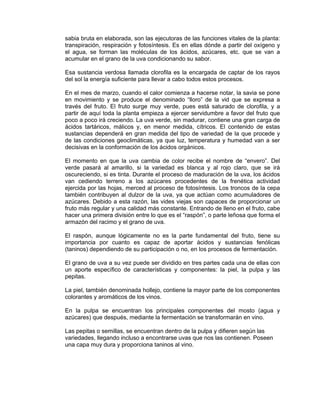 sabia bruta en elaborada, son las ejecutoras de las funciones vitales de la planta:
transpiración, respiración y fotosíntesis. Es en ellas dónde a partir del oxígeno y
el agua, se forman las moléculas de los ácidos, azúcares, etc. que se van a
acumular en el grano de la uva condicionando su sabor.
Esa sustancia verdosa llamada clorofila es la encargada de captar de los rayos
del sol la energía suficiente para llevar a cabo todos estos procesos.
En el mes de marzo, cuando el calor comienza a hacerse notar, la savia se pone
en movimiento y se produce el denominado “lloro” de la vid que se expresa a
través del fruto. El fruto surge muy verde, pues está saturado de clorofila, y a
partir de aquí toda la planta empieza a ejercer servidumbre a favor del fruto que
poco a poco irá creciendo. La uva verde, sin madurar, contiene una gran carga de
ácidos tartáricos, málicos y, en menor medida, cítricos. El contenido de estas
sustancias dependerá en gran medida del tipo de variedad de la que procede y
de las condiciones geoclimáticas, ya que luz, temperatura y humedad van a ser
decisivas en la conformación de los ácidos orgánicos.
El momento en que la uva cambia de color recibe el nombre de “envero”. Del
verde pasará al amarillo, si la variedad es blanca y al rojo claro, que se irá
oscureciendo, si es tinta. Durante el proceso de maduración de la uva, los ácidos
van cediendo terreno a los azúcares procedentes de la frenética actividad
ejercida por las hojas, merced al proceso de fotosíntesis. Los troncos de la cepa
también contribuyen al dulzor de la uva, ya que actúan como acumuladores de
azúcares. Debido a esta razón, las vides viejas son capaces de proporcionar un
fruto más regular y una calidad más constante. Entrando de lleno en el fruto, cabe
hacer una primera división entre lo que es el “raspón”, o parte leñosa que forma el
armazón del racimo y el grano de uva.
El raspón, aunque lógicamente no es la parte fundamental del fruto, tiene su
importancia por cuanto es capaz de aportar ácidos y sustancias fenólicas
(taninos) dependiendo de su participación o no, en los procesos de fermentación.
El grano de uva a su vez puede ser dividido en tres partes cada una de ellas con
un aporte específico de características y componentes: la piel, la pulpa y las
pepitas.
La piel, también denominada hollejo, contiene la mayor parte de los componentes
colorantes y aromáticos de los vinos.
En la pulpa se encuentran los principales componentes del mosto (agua y
azúcares) que después, mediante la fermentación se transformarán en vino.
Las pepitas o semillas, se encuentran dentro de la pulpa y difieren según las
variedades, llegando incluso a encontrarse uvas que nos las contienen. Poseen
una capa muy dura y proporciona taninos al vino.
 