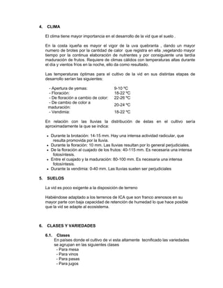 4. CLIMA
El clima tiene mayor importancia en el desarrollo de la vid que el suelo .
En la costa iqueña es mayor el vigor de la uva quebranta , dando un mayor
numero de brotes por la cantidad de calor que registra en ella ,vegetando mayor
tiempo por la continua elaboración de nutrientes y por consiguiente una tardía
maduración de frutos. Requiere de climas cálidos con temperaturas altas durante
el día y vientos fríos en la noche, ello da como resultado.
Las temperaturas óptimas para el cultivo de la vid en sus distintas etapas de
desarrollo serían las siguientes:
- Apertura de yemas: 9-10 ºC
- Floración: 18-22 ºC
- De floración a cambio de color: 22-26 ºC
- De cambio de color a
maduración:
20-24 ºC
- Vendimia: 18-22 ºC
En relación con las lluvias la distribución de éstas en el cultivo sería
aproximadamente la que se indica:
• Durante la brotación: 14-15 mm. Hay una intensa actividad radicular, que
resulta promovida por la lluvia.
• Durante la floración: 10 mm. Las lluvias resultan por lo general perjudiciales.
• De la floración al cuajado de los frutos: 40-115 mm. Es necesaria una intensa
fotosíntesis.
• Entre el cuajado y la maduración: 80-100 mm. Es necesaria una intensa
fotosíntesis.
• Durante la vendimia: 0-40 mm. Las lluvias suelen ser perjudiciales
5. SUELOS
La vid es poco exigente a la disposición de terreno
Habiéndose adaptado a los terrenos de ICA que son franco arenosos en su
mayor parte con baja capacidad de retención de humedad lo que hace posible
que la vid se adapte al ecosistema.
6. CLASES Y VARIEDADES
6.1. Clases
En países donde el cultivo de vi esta altamente tecnificado las variedades
se agrupan en las siguientes clases
- Para mesa
- Para vinos
- Para pasas
- Para jugos
 