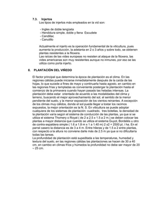 7.3. Injertos
Los tipos de injertos más empleados en la vid son:
- Ingles de doble lengüeta
- Hendidura simple, doble y llena Escudete
- Candillac
- Canutillo
Actualmente el injerto es la operación fundamental de la viticultura, pues
aumenta la producción, la adelanta en 2 o 3 años y sobre todo, se obtienen
plantas resistentes a la filoxera.
Las raíces de las vides europeas no resisten al ataque de la filoxera, las
vides americanas son muy resistentes aunque no inmunes, por eso se las
utiliza como porta injerto.
8. PLANTACIÓN DEL VIÑEDO
El factor principal que determina la época de plantación es el clima. En las
regiones cálidas puede iniciarse inmediatamente después de la caída de las
hojas, lo que sucede a fines de mayo y continuarla hasta agosto, en cambio en
las regiones frías y templadas es conveniente postergar la plantación hasta el
comienzo de la primavera cuando hayan pasado las heladas intensas. La
plantación debe estar orientada de acuerdo a las modalidades del clima y
terreno, buscando el mejor aprovechamiento del sol, el sentido de la menor
pendiente del suelo, y la menor exposición de los vientos reinantes. A excepción
de los climas muy cálidos, donde el sol puede llegar a tostar los racimos
expuestos, la mejor orientación es la N. S. En viticultura se puede adoptar
cualquiera de los sistemas de plantación: cuadrado, tres botellas, la densidad de
la plantación varía según el sistema de conducción de las plantas, ya que si se
utiliza el sistema Thomery o Royat ( de 2 a 2.5 x 1.5 a 2 m.) se deben colocar las
plantas a mayor distancia que cuando se utiliza el sistema Guyot, Bordelés u otro
de contra espaldera simple ( 1.6 a 1.8 m x 1 a 1.40 m) 2 x2 = 2500 pl. / ha. En el
parral casero la distancia es de 3 a 4 m. Entre hileras y de 1.5 a 2 entre plantas,
con respecto a la altura no conviene darle más de 2.5 m ya que si no dificultaría
todas las tareas.
La profundidad de plantación está supeditada a las temperaturas, humedad y
textura del suelo, en las regiones cálidas las plantaciones se hacen de 30 a 40
cm, en cambio en climas fríos y húmedos la profundidad no debe ser mayor de 20
– 25 cm.
 