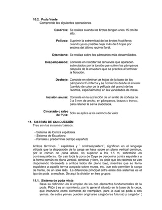 10.2. Poda Verde
Comprende las siguientes operaciones
Desbrote: Se realiza cuando los brotes tengan unos 15 cm de
alto.
Pellizco: Suprimir la extremidad de los brotes fructíferos
cuando ya es posible dejar más de 6 hojas por
encima del último racimo floral.
Desmoche: Se realiza sobre los pámpanos más desarrollados.
Despampanado: Consiste en recortar los renuevos que aparecen
estimulados por la torsión que sufren los pámpanos
después de la envoltura que se practica al terminar
la floración.
Deshoje: Consiste en eliminar las hojas de la base de los
pámpanos fructíferos y se comienza desde el envero
(cambio de color de la película del grano) de los
racimos, especialmente en las variedades de mesa.
Incisión anular: Consiste en la extracción de un anillo de corteza de
3 a 5 mm de ancho, en pámpanos, brazos o tronco,
para retener la savia elaborada.
Cincelado o raleo
de fruta:
Solo se aplica a los racimos de valor
11. SISTEMA DE CONDUCCIÓN
Tres son los sistemas básicos:
- Sistema de Contra espaldera
- Sistema de Espaldera
- Parrales ( predominio del tipo español)
Ambos términos: ¨ espaldera y ¨ contraespaldera¨, significan en el lenguaje
vitícola que la disposición de la carga se hace sobre un plano vertical continuo,
por lo común de poca altura, no superior a los 1.5 m, sobretodo en
contraespalderas. En casi toda la zona de Cuyo se denomina contra espaldera a
la forma común en plano vertical, continuo y libre, es decir que los racimos se van
disponiendo libremente a ambos lados del plano bajo, mientras que se llama
espaldera a aquella forma apoyada sobre muros, etc. que solo permiten la carga
de frente, de un solo lado. La diferencia principal entre estos dos sistemas es el
tipo de poda a emplear. De aquí la división en tres grupos:
11.1. Sistema de poda mixta
Basa su definición en el empleo de los dos elementos fundamentales de la
poda. Pitón ( es un sarmiento, por lo general situado en la base de la cepa,
que interviene como elemento de reemplazo, para lo cual se poda a dos
yemas, de estas yemas pueden originarse cargadores futuros) y cargador (
 