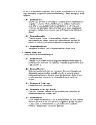 es en sí un sarmiento cualquiera, pero que por su disposición en el brazo y
vigor se destina a la próxima producción fructífera). Dentro de la poda mixta
tenemos:
11.1.1 Sistema Guyot
Es una cepa provista de un brazo que se ata al primer alambre (brazo
cargador) y un pitón inferior. Al efectuarse la poda de fructificación
cada año, la cepa queda intacta rebajándose en el extremo para
evitar que los racimos se alejen, mientras que el brazo cargador se
renueva en cada invierno, usando para tal fin la yema del pitón ( ver
dibujo).
11.1.2 Sistema Bordelés
Posee una cepa central y dos cargadores laterales con sus
correspondientes pitones que se atan sobre el primer alambre, la
diferencia está en que los brazos se atan arqueados ( ver dibujo).
11.1.3 Sistema Mendocino
Semejante al anterior pero puede ser también de dos pisos.
11.2. Sistema Poda Corta
Son aquellos que solo utilizan el pitón.
11.2.1 Sistema Royat
Se basa en un cordón unilateral dispuesto horizontalmente sobre el
primer alambre. Lleva de 4 a 6 pitones, colocados superiormente a 20
o 25 cm entre sí.
11.2.2 Sistema Thomery
Sistema muy difundido para las variedades de mesa. Lleva pitones
dispuestos superiormente a unos 20 cm entre sí con una guía de
prolongación al extremo de cada brazo. La disposición de los brazos
es alternada, una cepa sobre el primer alambre y otra sobre el
tercero.
11.2.3 Sistemas de Poda Larga
Lleva únicamente cargadores.
11.2.4 Sistema de Poda Larga Simple
Es el más usado en Parrales del tipo español para variedades de
mesa como Moscatel, Almería, etc.
11.2.5 Sistema Silvoz
Es un cordón unilateral que se fija al primer alambre, de este parten a
distancia de 20 a 25 cm unos de otros, cargadores que se arquean y
se atan sobre el primer alambre. Es un sistema muy usado en
Parrales y espaldera en variedades de mesa
 