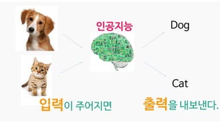 Dog
Cat
입력이 주어지면 출력을 내보낸다.
인공지능
 