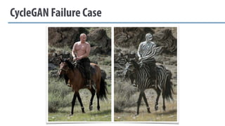 CycleGAN Failure Case
 