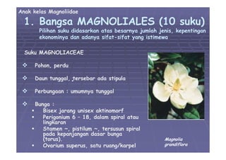 05 divisi-magnoliophyta-01 | PDF