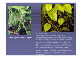 05 divisi-magnoliophyta-01 | PDF