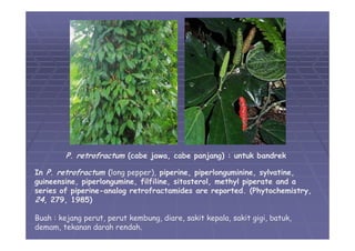05 divisi-magnoliophyta-01 | PDF