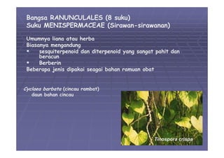 05 divisi-magnoliophyta-01 | PDF