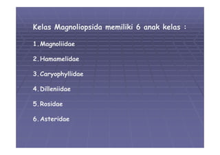 05 divisi-magnoliophyta-01 | PDF