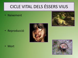 CICLE VITAL DELS ÉSSERS VIUS
• Naixement
• Reproducció
• Mort
 