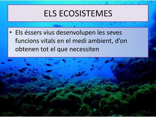 ELS ECOSISTEMES
• Els éssers vius desenvolupen les seves
funcions vitals en el medi ambient, d’on
obtenen tot el que necessiten
 