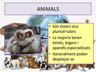 ANIMALS
• Són éssers vius
pluricel·lulars
• La majoria tenen
teixits, òrgans i
aparells especialitzats
• Generalment poden
desplaçar-se
 