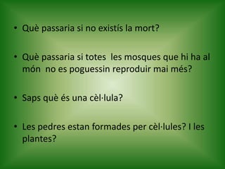 • Què passaria si no existís la mort?
• Què passaria si totes les mosques que hi ha al
món no es poguessin reproduir mai més?
• Saps què és una cèl·lula?
• Les pedres estan formades per cèl·lules? I les
plantes?
 