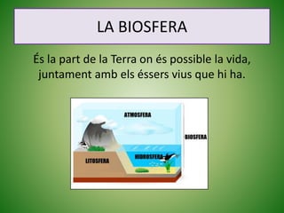 LA BIOSFERA
És la part de la Terra on és possible la vida,
juntament amb els éssers vius que hi ha.
 