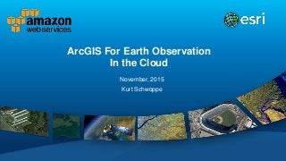 ArcGIS For Earth Observation
In the Cloud
November, 2015
Kurt Schwoppe
 