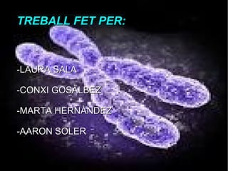TREBALL FET PER:TREBALL FET PER:
-LAURA SALA-LAURA SALA
-CONXI GOSÀLBEZ-CONXI GOSÀLBEZ
-MARTA HERNÀNDEZ-MARTA HERNÀNDEZ
-AARON SOLER-AARON SOLER
 