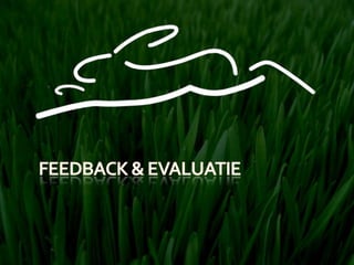 Feedback & Evaluatie 