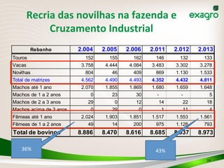 Rebanho 2.004 2.005 2.006 2.011 2.012 2.013
Touros 152 155 162 146 132 133
Vacas 3.758 4.444 4.084 3.483 3.302 3.278
Novilhas 804 46 409 869 1.130 1.533
Total de matrizes 4.562 4.490 4.493 4.352 4.432 4.811
Machos até 1 ano 2.070 1.855 1.869 1.680 1.659 1.648
Machos de 1 a 2 anos 0 23 30 - - 5
Machos de 2 a 3 anos 29 0 12 14 22 18
Machos acima de 3 anos 0 29 0 1 11 4
Fêmeas até 1 ano 2.024 1.903 1.851 1.517 1.553 1.561
Fêmeas de 1 a 2 anos 49 14 200 975 1.128 793
Total de bovinos 8.886 8.470 8.616 8.685 8.937 8.973
Recria	
  das	
  novilhas	
  na	
  fazenda	
  e	
  
Cruzamento	
  Industrial	
  
36%	
   43%	
  
24	
  
 