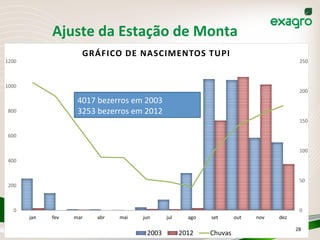 Ajuste	
  da	
  Estação	
  de	
  Monta	
  
0
50
100
150
200
250
0
200
400
600
800
1000
1200
jan fev mar abr mai jun jul ago set out nov dez
GRÁFICO	
  DE	
  NASCIMENTOS	
  TUPI
2003 2012 Chuvas
4017	
  bezerros	
  em	
  2003	
  
3253	
  bezerros	
  em	
  2012	
  
28	
  
 