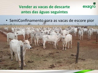Vender	
  as	
  vacas	
  de	
  descarte	
  
antes	
  das	
  águas	
  seguintes	
  
•  SemiConﬁnamento	
  para	
  as	
  vacas	
  de	
  escore	
  pior	
  
32	
  
 