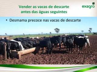 Vender	
  as	
  vacas	
  de	
  descarte	
  
antes	
  das	
  águas	
  seguintes	
  
•  Desmama	
  precoce	
  nas	
  vacas	
  de	
  descarte	
  
33	
  
 