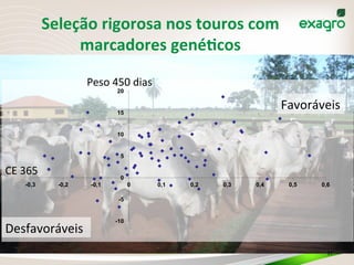 Seleção	
  rigorosa	
  nos	
  touros	
  com	
  
marcadores	
  genéKcos	
  
-10
-5
0
5
10
15
20
-0,3 -0,2 -0,1 0 0,1 0,2 0,3 0,4 0,5 0,6
Favoráveis	
  
Desfavoráveis	
  
Peso	
  450	
  dias	
  
CE	
  365	
  
37	
  
 