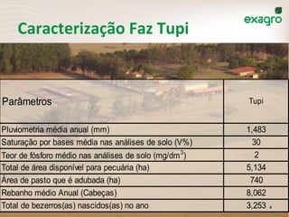 Caracterização	
  Faz	
  Tupi	
  
Parâmetros Tupi
Pluviometria média anual (mm) 1,483
Saturação por bases média nas análises de solo (V%) 30
Teor de fósforo médio nas análises de solo (mg/dm3
) 2
Total de área disponível para pecuária (ha) 5,134
Área de pasto que é adubada (ha) 740
Rebanho médio Anual (Cabeças) 8,062
Total de bezerros(as) nascidos(as) no ano 3,253 4	
  
 